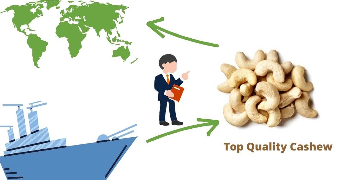 Top quality Cashew Nut Exporters