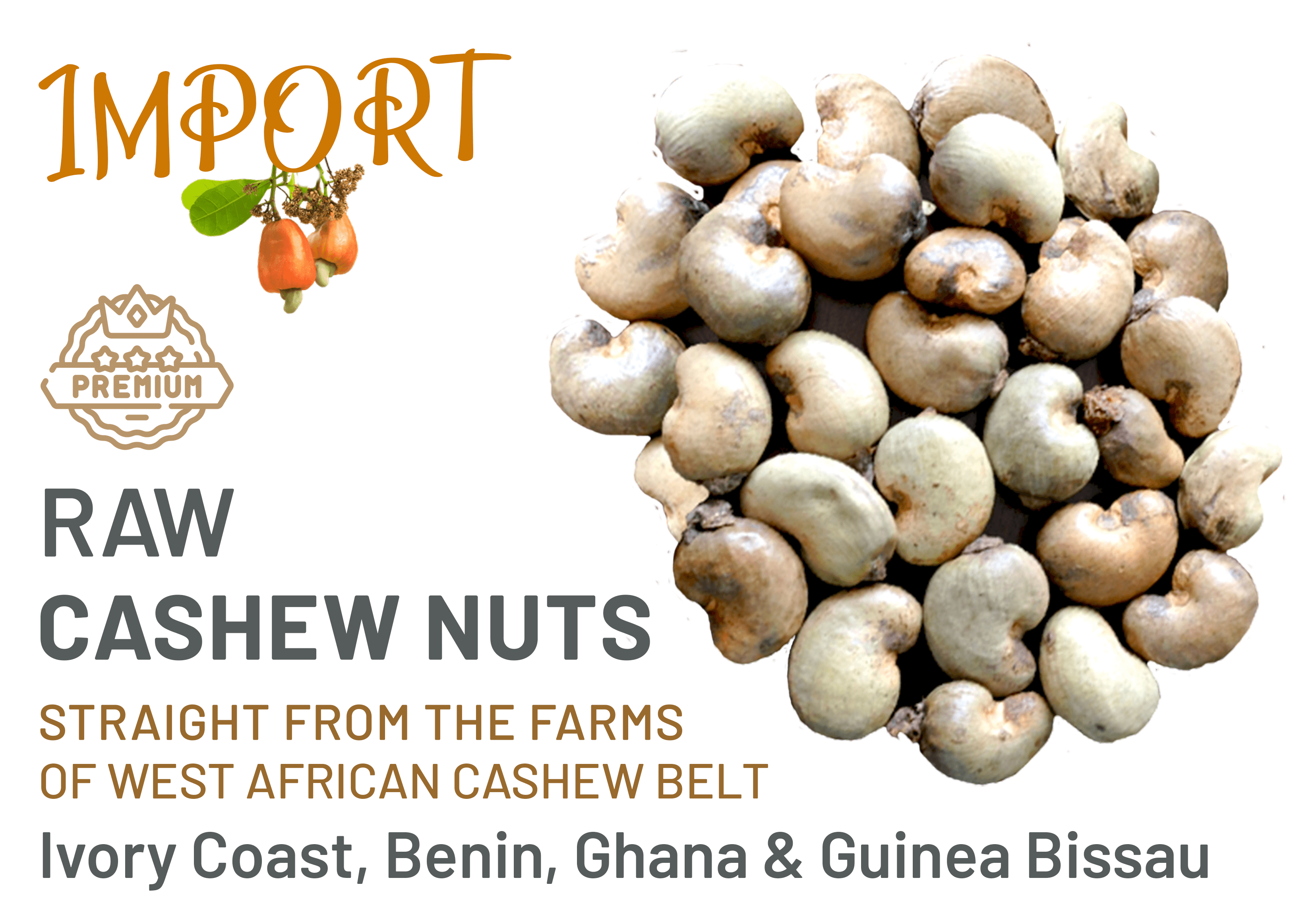 Raw Cashew Nuts and RCN Importers in India