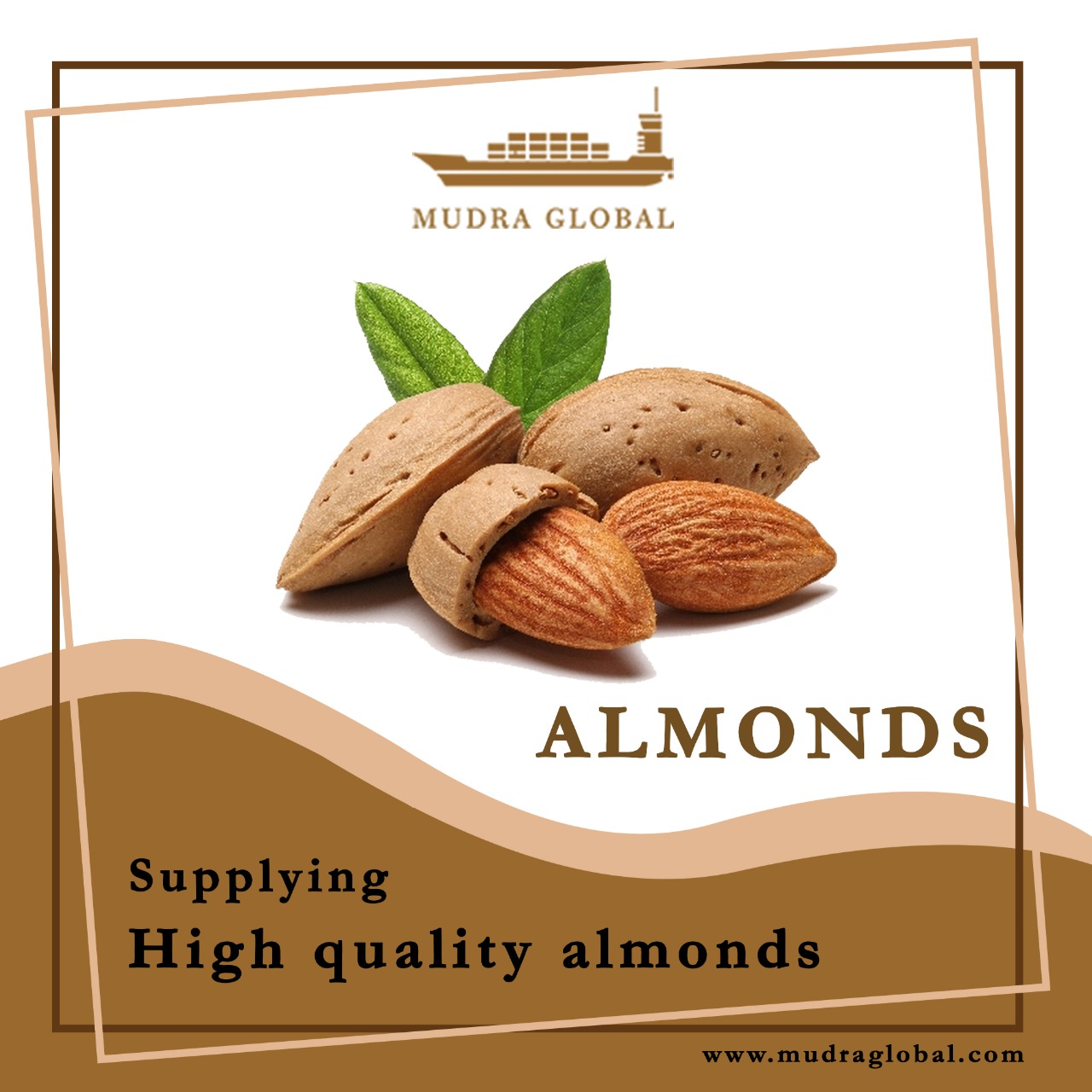 Almond suppliers in India